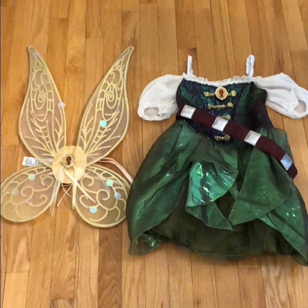Disney Store Pirate Fairy costume